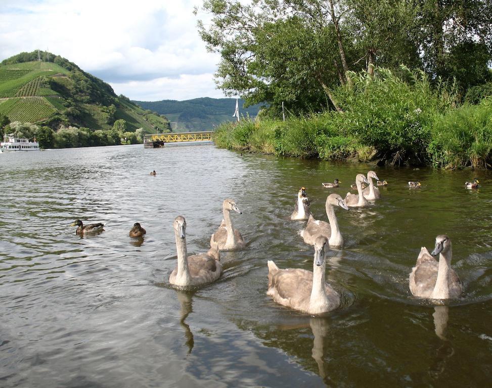 Residence Bellevue Boppard Eksteriør bilde